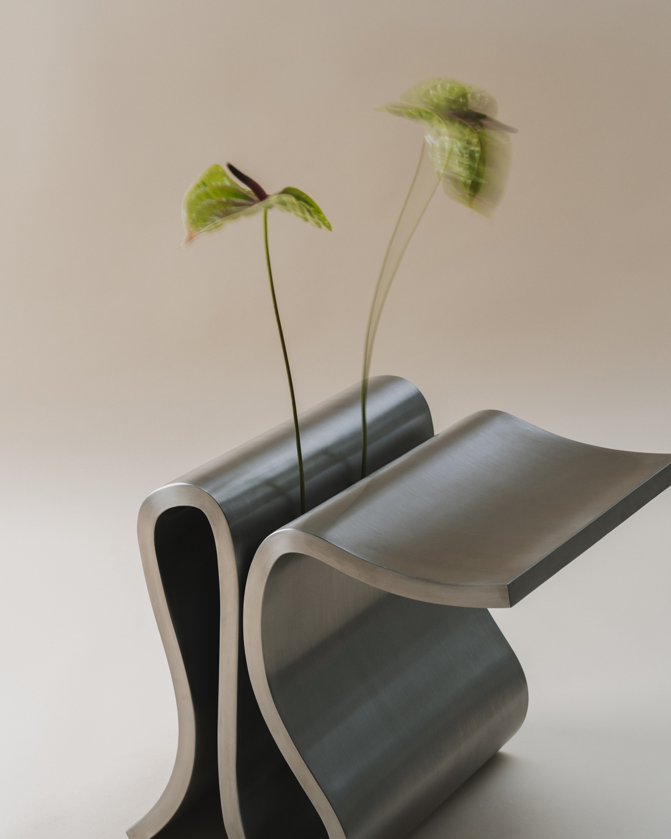 Emma Donnersberg — Ribbon Collection